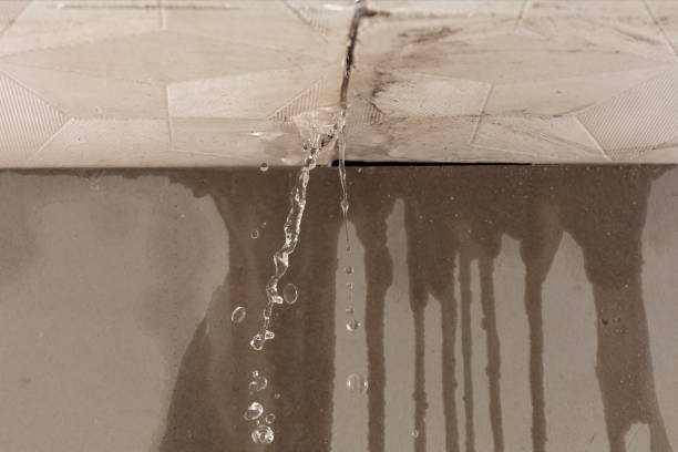 Professional Structural Drying technician working in Baileyton, AL